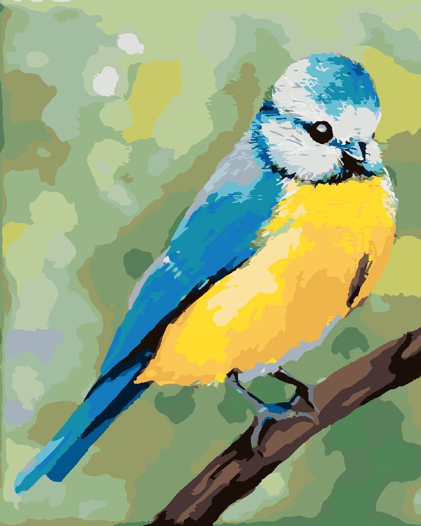 zuty Malování podle čísel - MODRÝ PTÁČEK SEDÍCÍ NA VĚTVIČCE(MYROSLAVA VOLOSCHUK) - Rozměr: 40x50 cm, Rámování: Varianta: vypnuté plátno na rám - obrázek 4