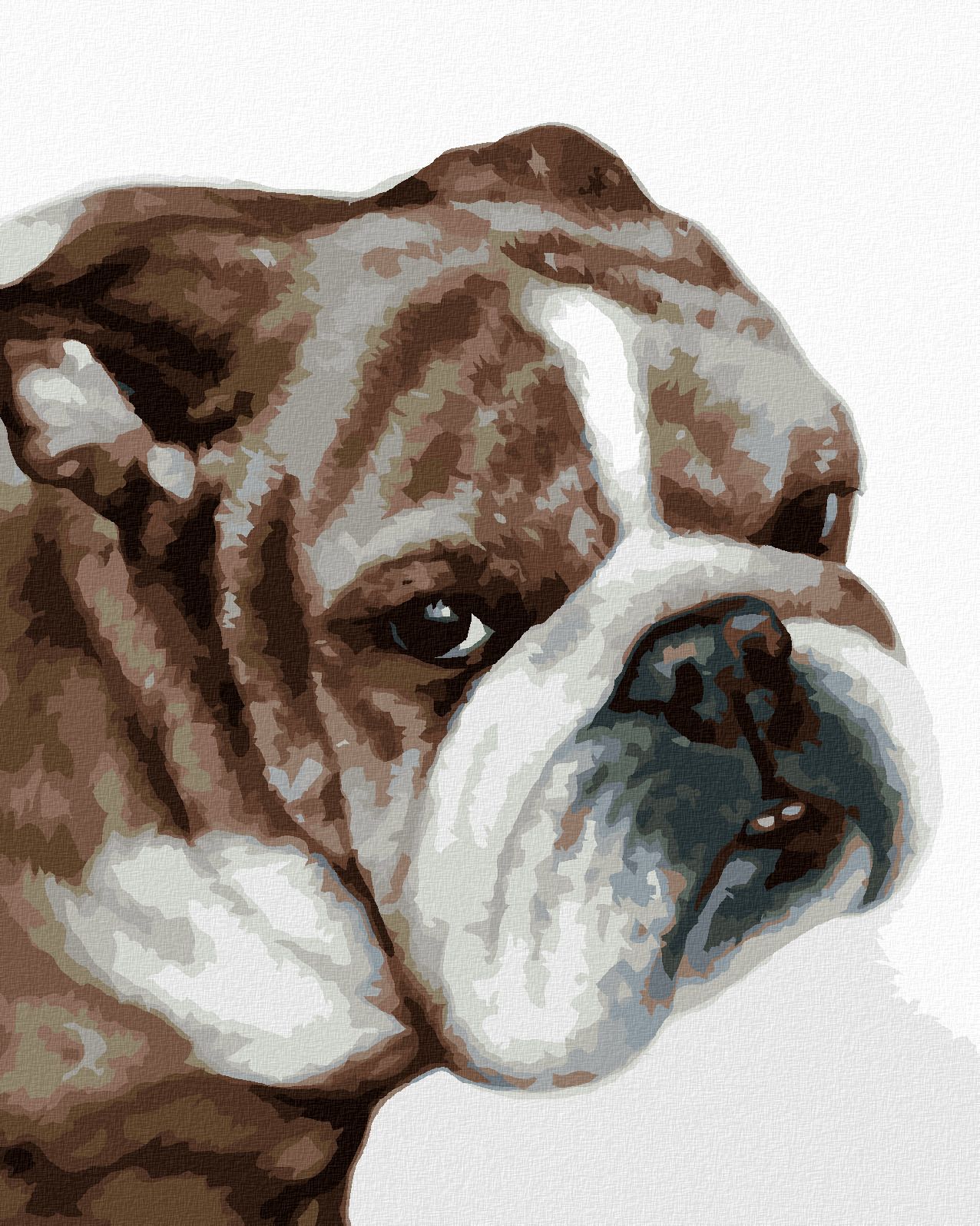 zuty Malování podle čísel - BULLDOG (MYROSLAVA VOLOSCHUK) - Rozměr: 40x50 cm, Rámování: Varianta: bez rámu a bez vypnutí plátna - obrázek 1