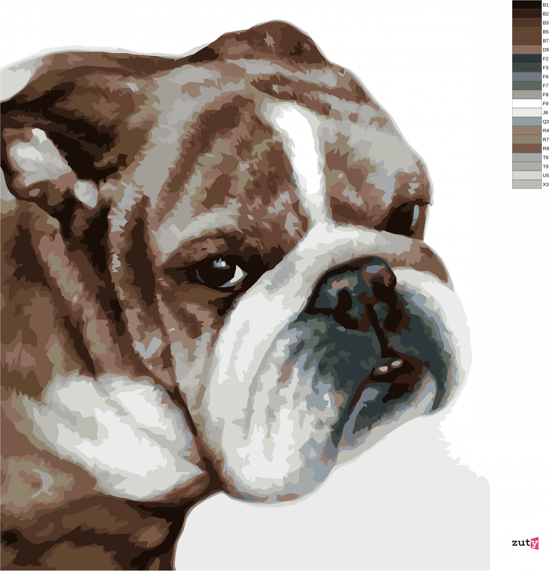 zuty Malování podle čísel - BULLDOG (MYROSLAVA VOLOSCHUK) - Rozměr: 40x50 cm, Rámování: Varianta: bez rámu a bez vypnutí plátna - obrázek 3