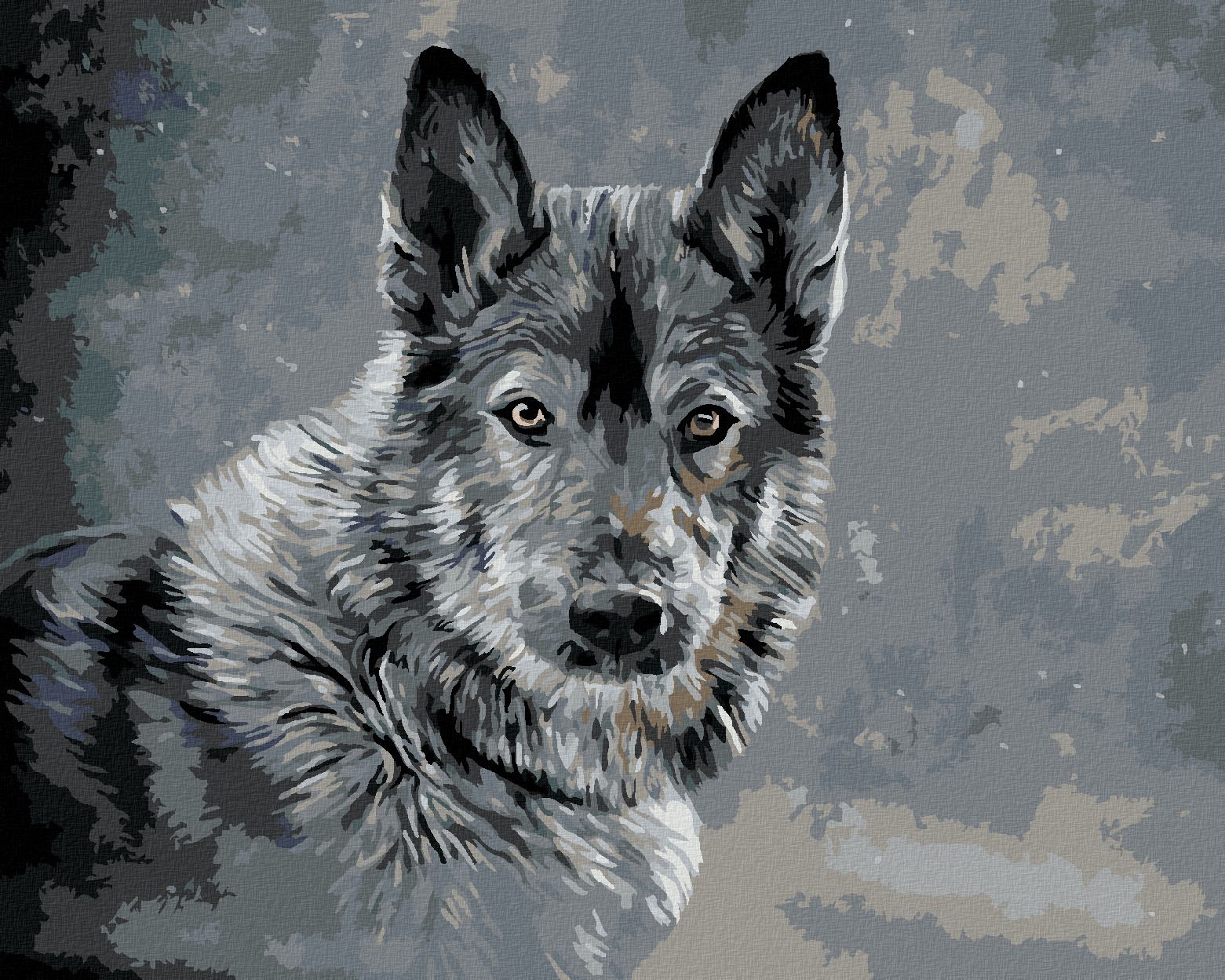 zuty Malování podle čísel - VLK NA ŠEDÉM POZADÍ - Rozměr: 40x50 cm, Rámování: Varianta: bez rámu a bez vypnutí plátna - obrázek 1