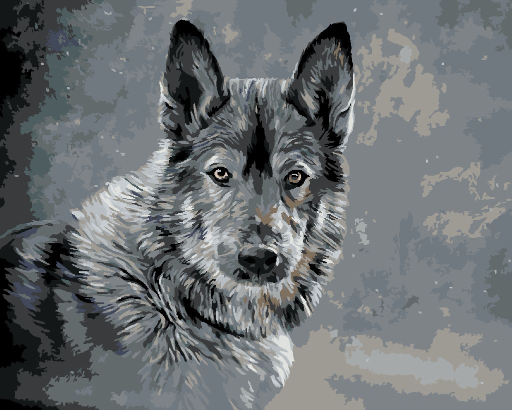 zuty Malování podle čísel - VLK NA ŠEDÉM POZADÍ - Rozměr: 40x50 cm, Rámování: Varianta: bez rámu a bez vypnutí plátna - obrázek 3