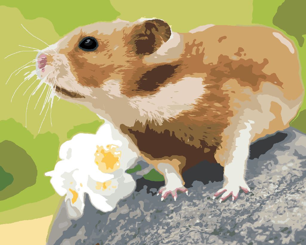 zuty Malování podle čísel - KŘEČEK NA KAMENI - Rozměr: 40x50 cm, Rámování: Varianta: vypnuté plátno na rám - obrázek 6