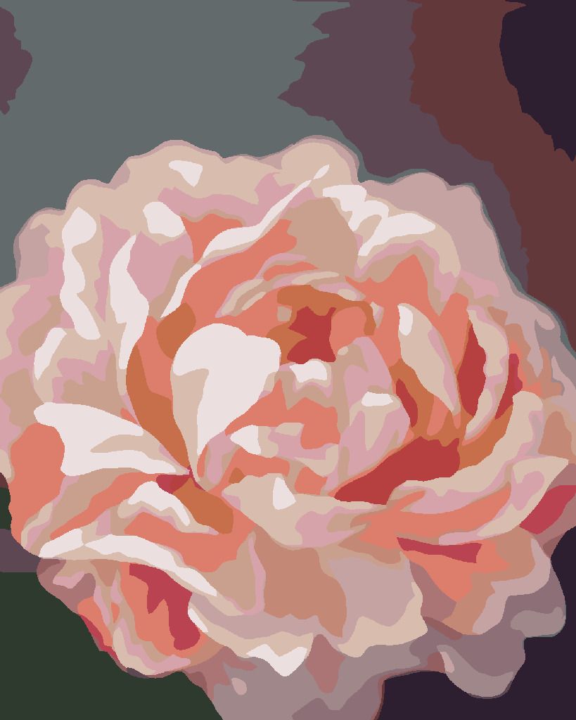 zuty Malování podle čísel - PIVOŇKY 6 (MYROSLAVA VOLOSCHUK) - Rozměr: 40x50 cm, Rámování: Varianta: bez rámu a bez vypnutí plátna - obrázek 10