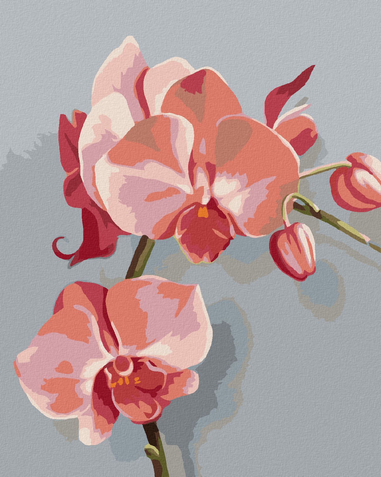 zuty Malování podle čísel - RŮŽOVÁ ORCHIDEI (MYROSLAVA VOLOSCHUK) - Rozměr: 40x50 cm, Rámování: Varianta: vypnuté plátno na rám - obrázek 1