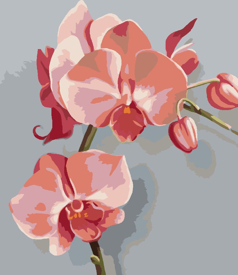 zuty Malování podle čísel - RŮŽOVÁ ORCHIDEI (MYROSLAVA VOLOSCHUK) - Rozměr: 40x50 cm, Rámování: Varianta: vypnuté plátno na rám - obrázek 3