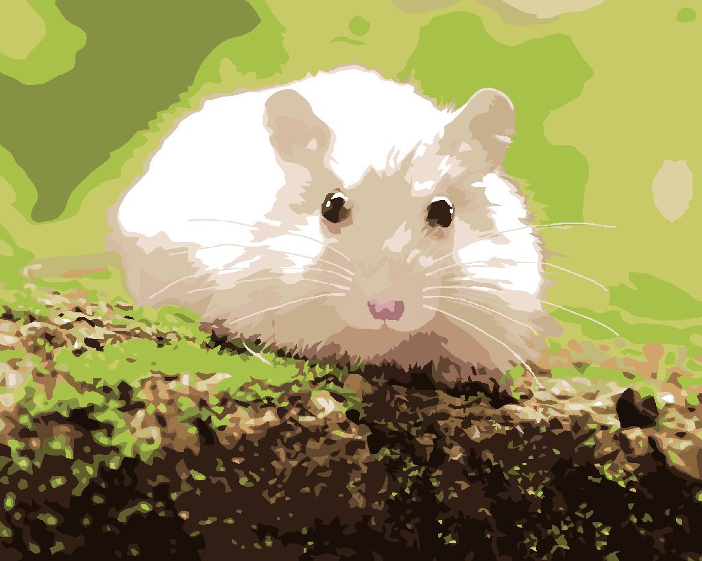 zuty Malování podle čísel - BÍLÝ KŘEČEK V LESE - Rozměr: 40x50 cm, Rámování: Varianta: bez rámu a bez vypnutí plátna - obrázek 3
