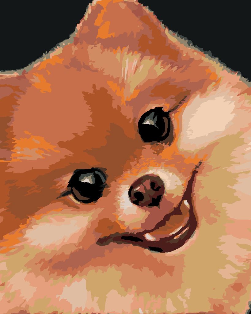 zuty Malování podle čísel - POMERANIAN (MYROSLAVA VOLOSCHUK) - Rozměr: 40x50 cm, Rámování: Varianta: vypnuté plátno na rám - obrázek 9