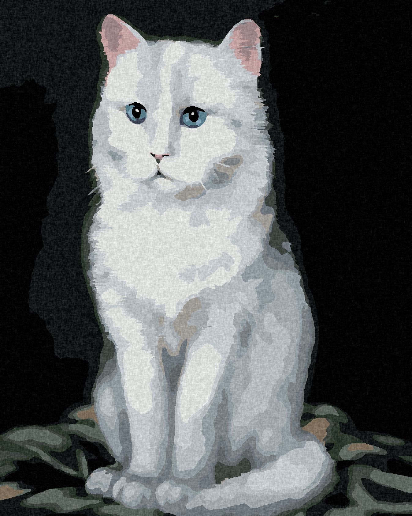 zuty Malování podle čísel - BÍLÝ KOCOUR 2 (MYROSLAVA VOLOSCHUK) - Rozměr: 40x50 cm, Rámování: Varianta: vypnuté plátno na rám - obrázek 1