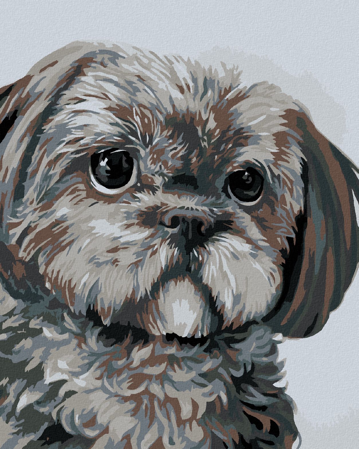 zuty Malování podle čísel - PEJSEK (MYROSLAVA VOLOSCHUK) - Rozměr: 40x50 cm, Rámování: Varianta: bez rámu a bez vypnutí plátna - obrázek 1