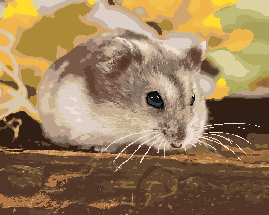 zuty Malování podle čísel - MALÝ KŘEČEK - Rozměr: 40x50 cm, Rámování: Varianta: bez rámu a bez vypnutí plátna - obrázek 10