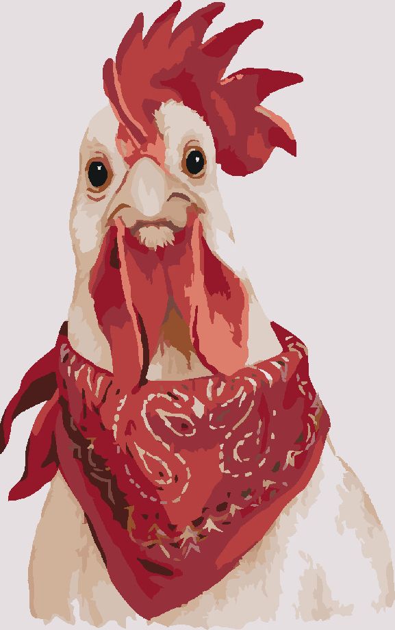 zuty Malování podle čísel - KOHOUT S ŠÁTKEM (MYROSLAVA VOLOSCHUK) - Rozměr: 40x50 cm, Rámování: Varianta: bez rámu a bez vypnutí plátna - obrázek 4