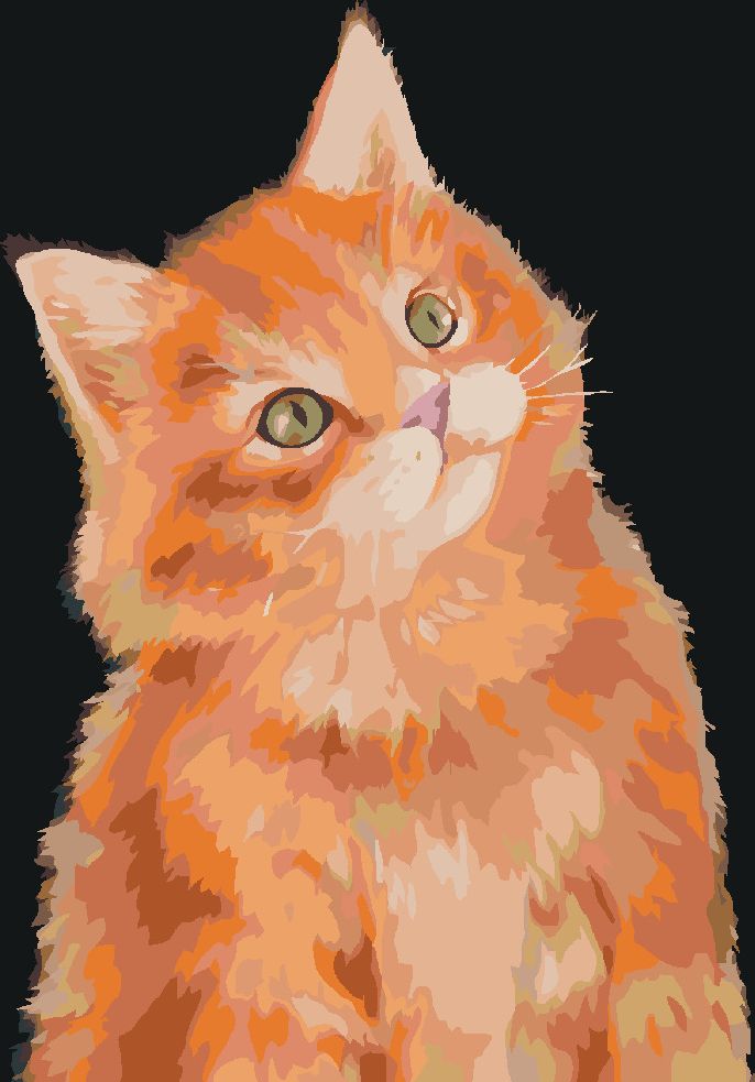 zuty Malování podle čísel - ZRZAVÝ KOCOUR NA TMAVÉM POZADÍ (MYROSLAVA VOLOSCHUK) - Rozměr: 40x50 cm, Rámování: Varianta: vypnuté plátno na rám - obrázek 6