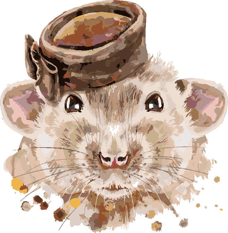 zuty Malování podle čísel - MYŠKA S HNĚDÝM KLOBOUKEM - Rozměr: 40x50 cm, Rámování: Varianta: vypnuté plátno na rám - obrázek 5