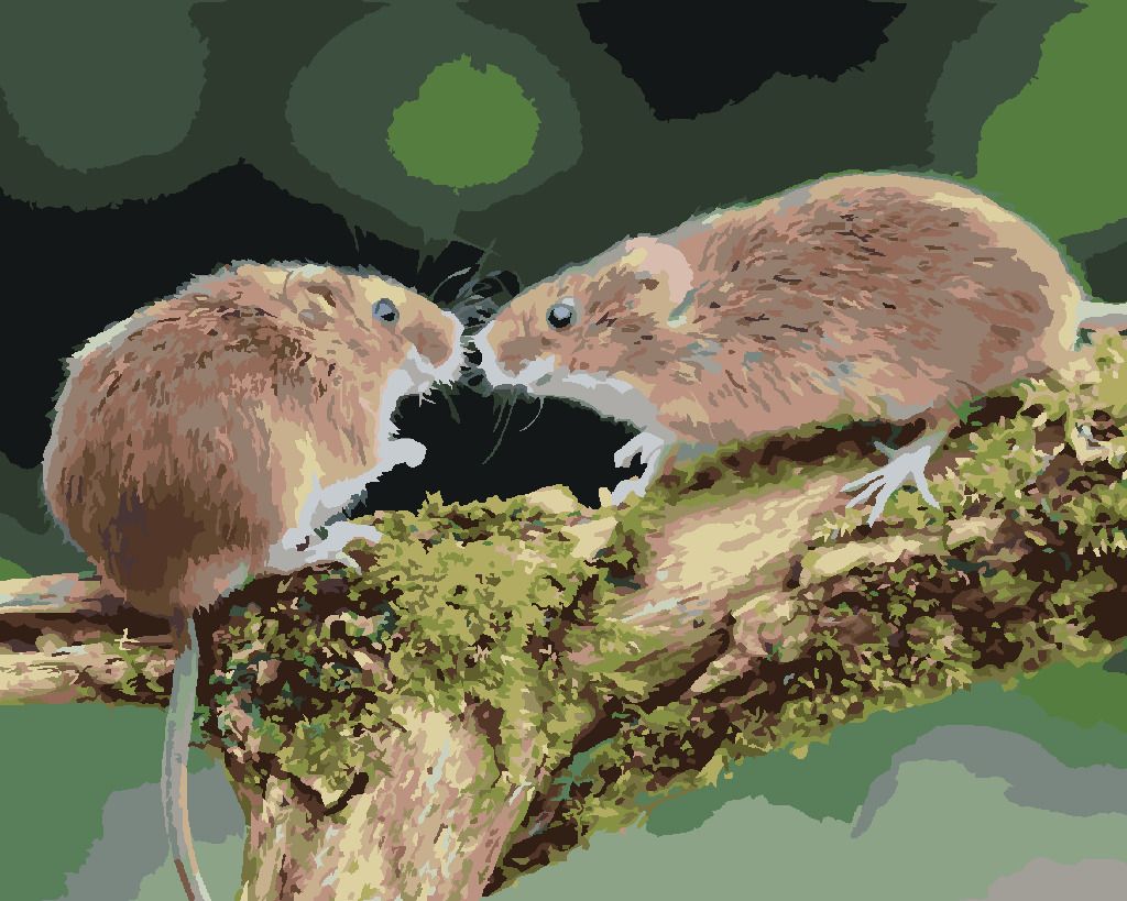zuty Malování podle čísel - DVĚ MYŠKY V LESE - Rozměr: 40x50 cm, Rámování: Varianta: bez rámu a bez vypnutí plátna - obrázek 5
