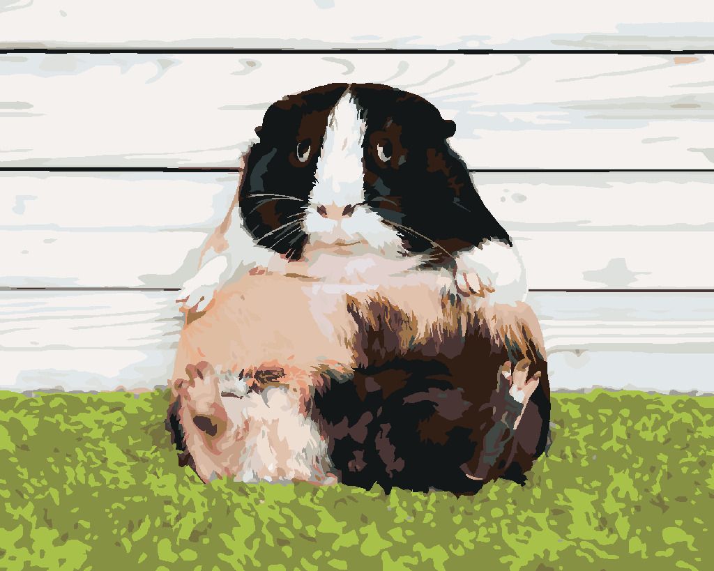 zuty Malování podle čísel - LÍNÉ MORČE - Rozměr: 40x50 cm, Rámování: Varianta: bez rámu a bez vypnutí plátna - obrázek 4