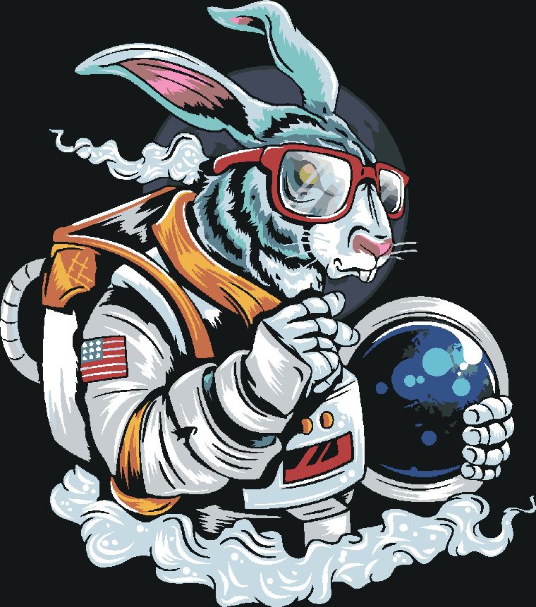 zuty Malování podle čísel - KRÁLÍK KOSMONAUT - Rozměr: 40x50 cm, Rámování: Varianta: vypnuté plátno na rám - obrázek 4