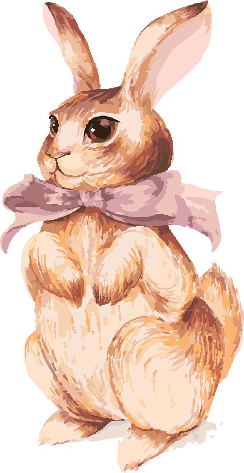 zuty Malování podle čísel - KRÁLÍK S RŮŽOVOU MAŠLIČKOU - Rozměr: 40x50 cm, Rámování: Varianta: bez rámu a bez vypnutí plátna - obrázek 5