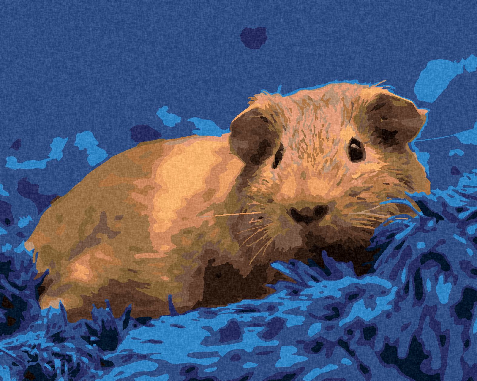 zuty Malování podle čísel - MORČE NA MODRÉM KOBERCI - Rozměr: 40x50 cm, Rámování: Varianta: vypnuté plátno na rám - obrázek 1