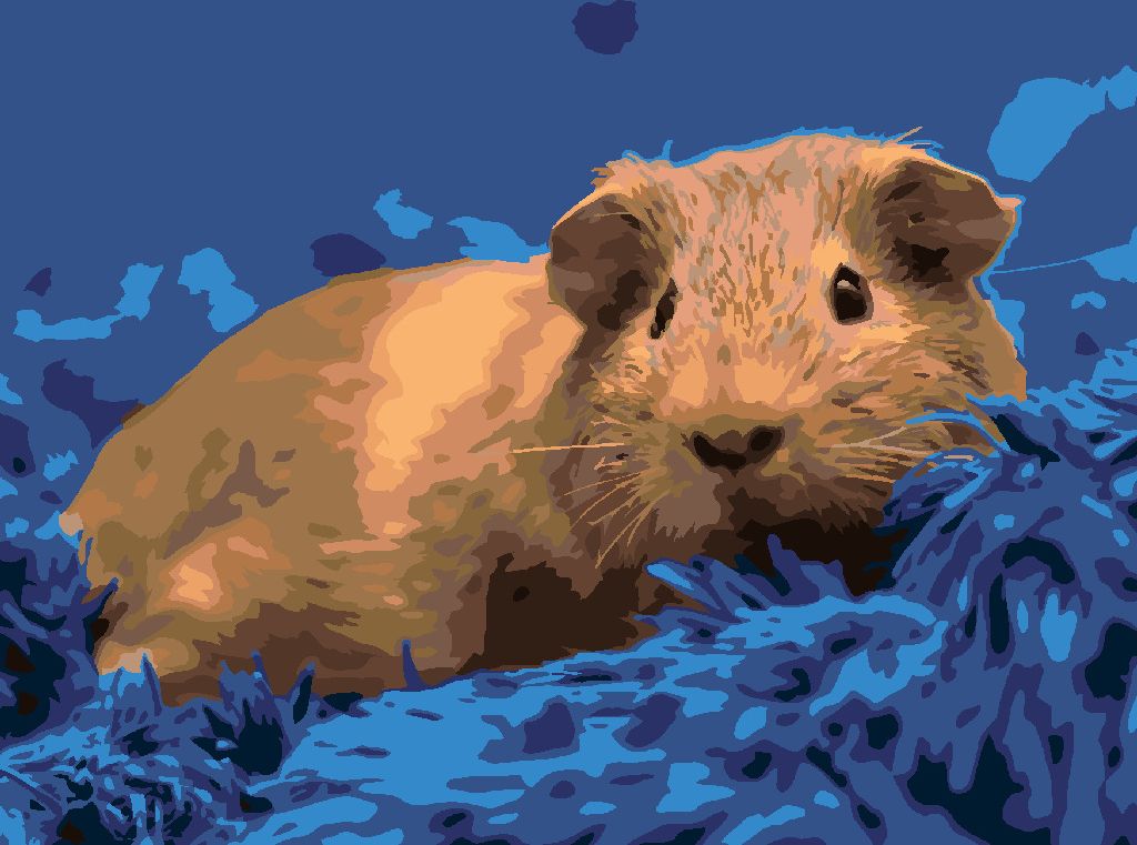 zuty Malování podle čísel - MORČE NA MODRÉM KOBERCI - Rozměr: 40x50 cm, Rámování: Varianta: vypnuté plátno na rám - obrázek 8
