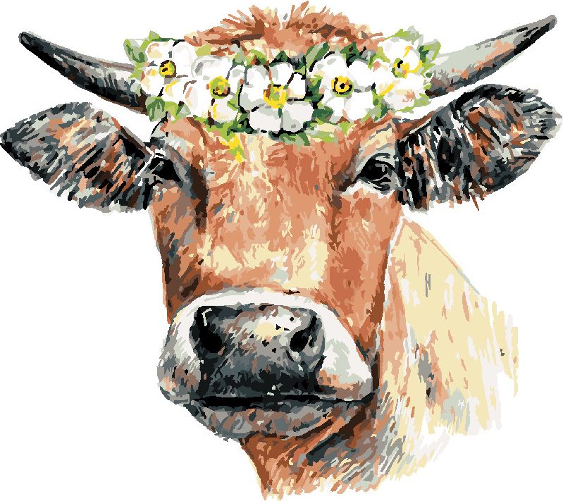 zuty Malování podle čísel - KRÁVA S VĚNCEM - Rozměr: 40x50 cm, Rámování: Varianta: bez rámu a bez vypnutí plátna - obrázek 6
