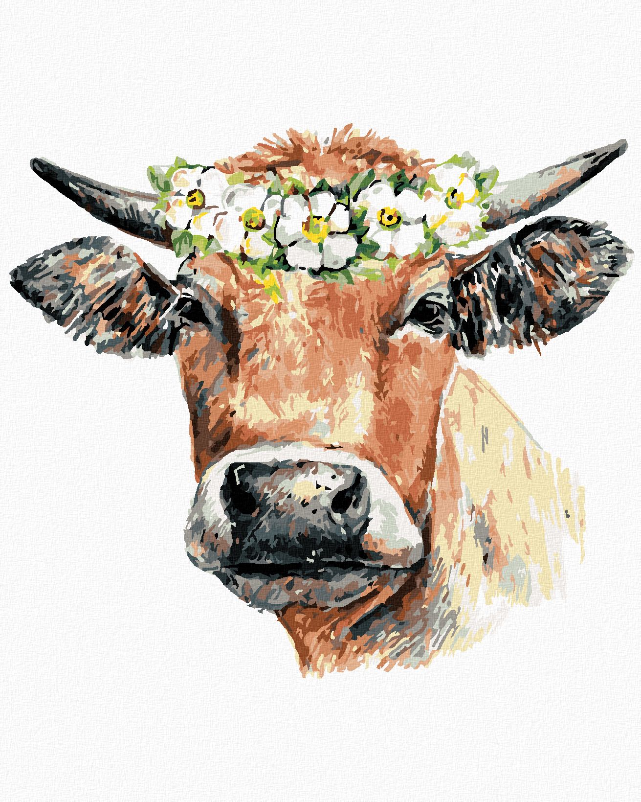 zuty Malování podle čísel - KRÁVA S VĚNCEM - Rozměr: 40x50 cm, Rámování: Varianta: vypnuté plátno na rám - obrázek 1