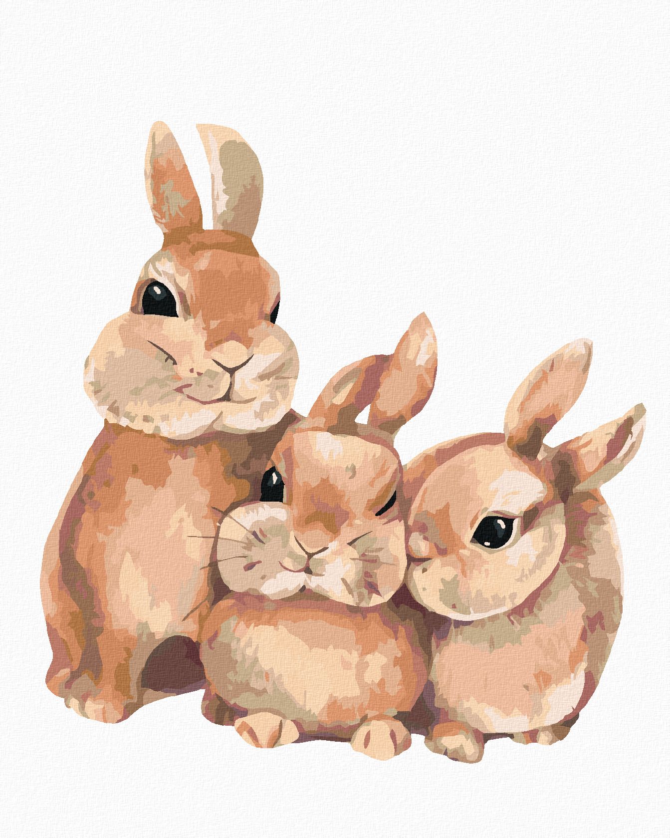 zuty Malování podle čísel - KRÁLÍK A JEHO RODINA - Rozměr: 40x50 cm, Rámování: Varianta: vypnuté plátno na rám - obrázek 1