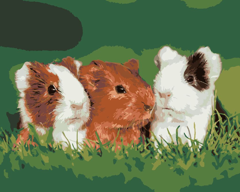 zuty Malování podle čísel - MORČATA V TRÁVĚ - Rozměr: 40x50 cm, Rámování: Varianta: bez rámu a bez vypnutí plátna - obrázek 5