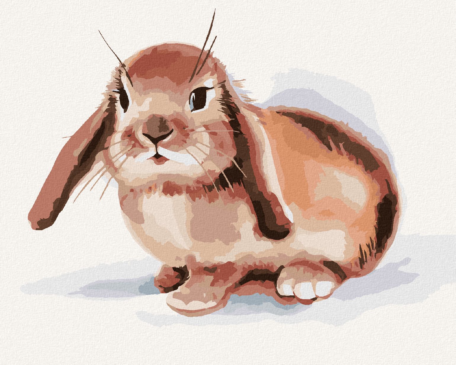 zuty Malování podle čísel - HNĚDÝ KRÁLÍK NA BÍLÉM POZADÍ - Rozměr: 40x50 cm, Rámování: Varianta: bez rámu a bez vypnutí plátna - obrázek 1