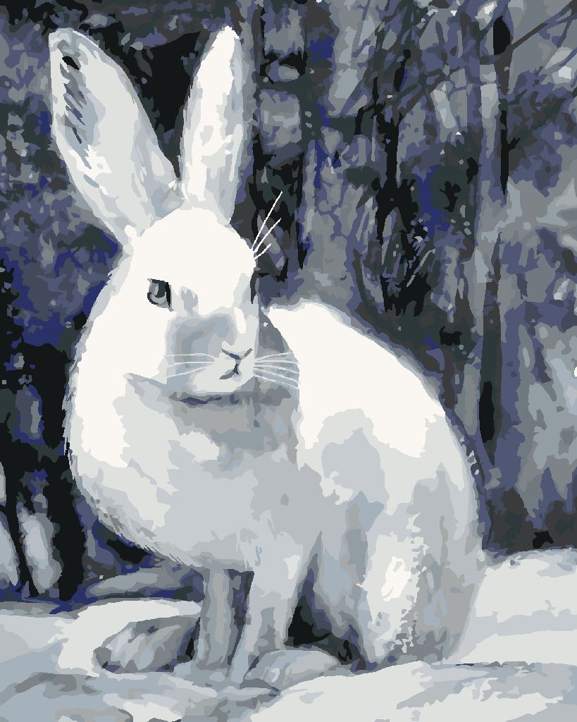 zuty Malování podle čísel - KRÁLÍK V ZIMĚ U LESA - Rozměr: 40x50 cm, Rámování: Varianta: bez rámu a bez vypnutí plátna - obrázek 10