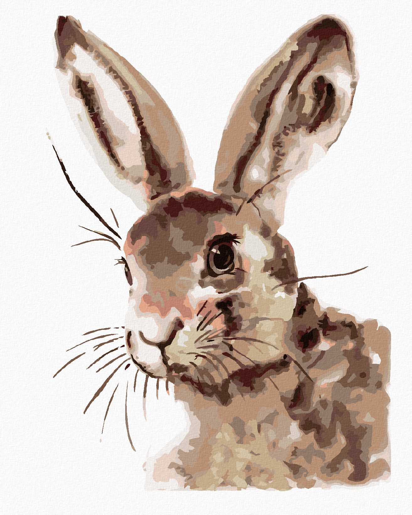 zuty Malování podle čísel - ROZTOMILÝ KRÁLÍK - Rozměr: 40x50 cm, Rámování: Varianta: bez rámu a bez vypnutí plátna - obrázek 1