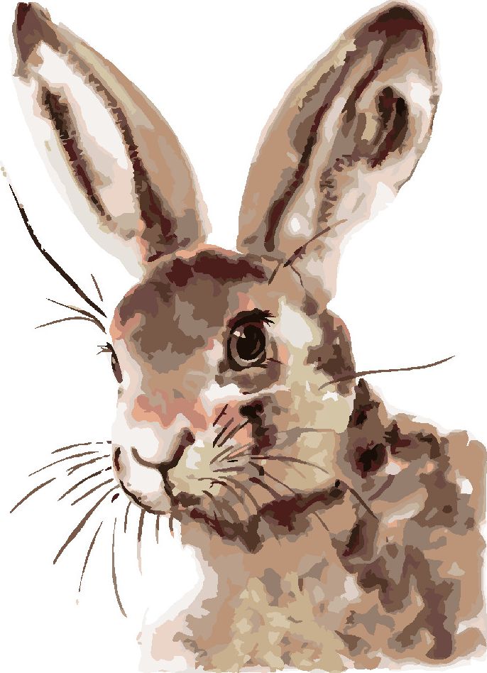 zuty Malování podle čísel - ROZTOMILÝ KRÁLÍK - Rozměr: 40x50 cm, Rámování: Varianta: bez rámu a bez vypnutí plátna - obrázek 2