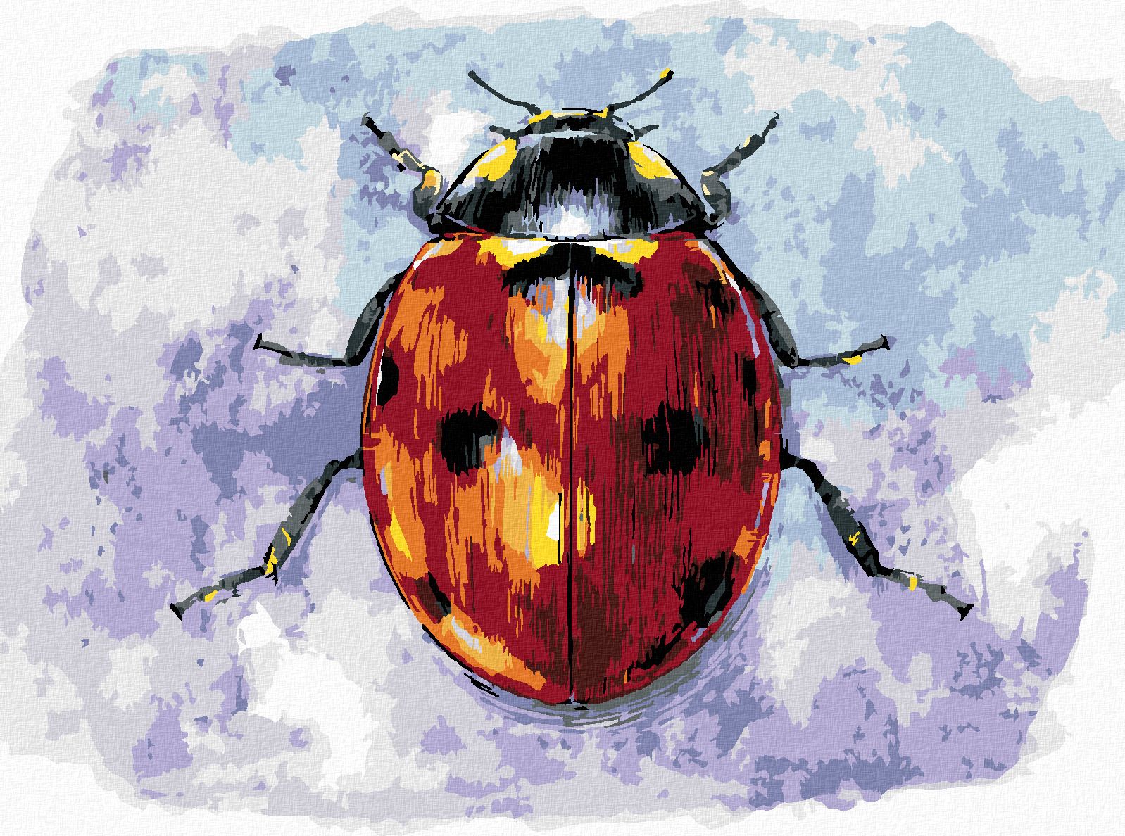 zuty Malování podle čísel - VELKÁ BERUŠKA - Rozměr: 40x50 cm, Rámování: Varianta: vypnuté plátno na rám - obrázek 1
