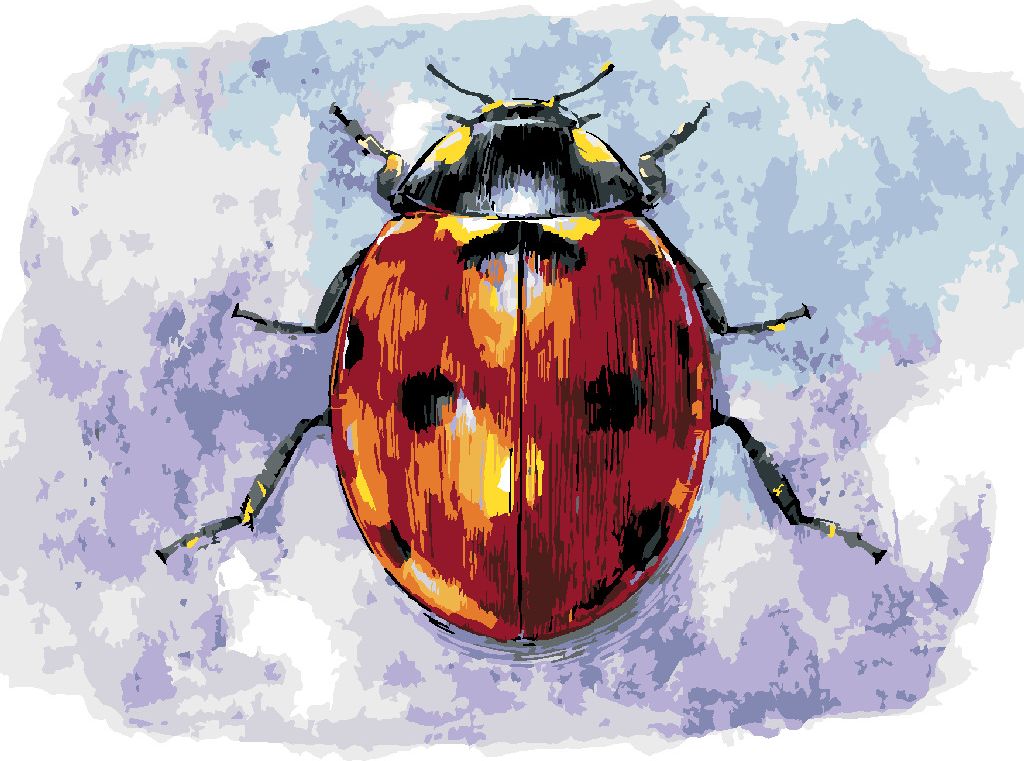 zuty Malování podle čísel - VELKÁ BERUŠKA - Rozměr: 40x50 cm, Rámování: Varianta: vypnuté plátno na rám - obrázek 10