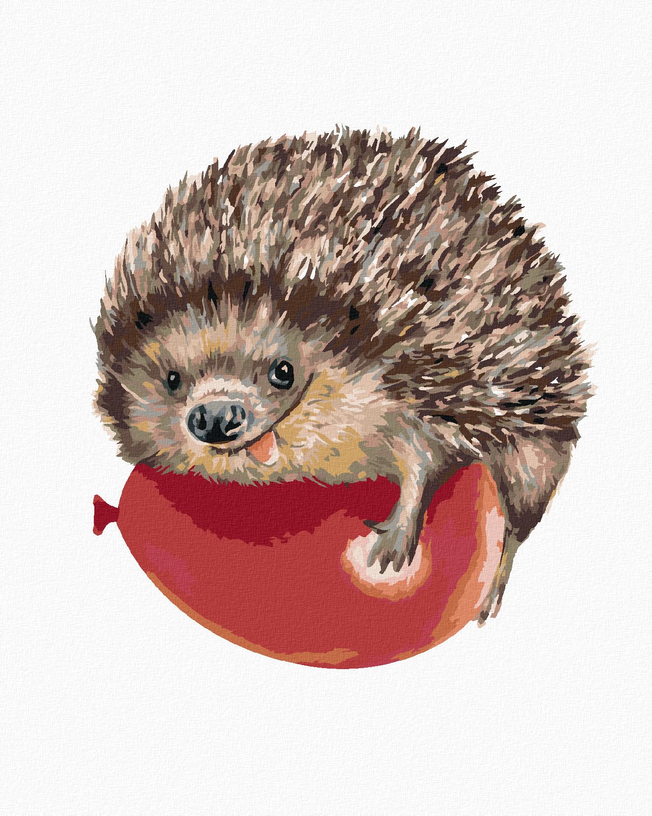 zuty Malování podle čísel - JEŽEK A ČERVENÝ BALÓNEK - Rozměr: 40x50 cm, Rámování: Varianta: vypnuté plátno na rám - obrázek 1