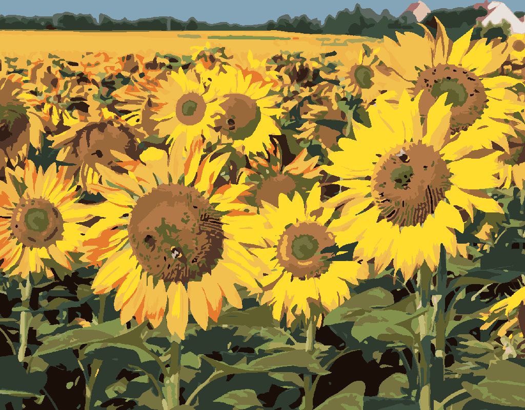 zuty Malování podle čísel - SLUNEČNICE NA POLI 2 - Rozměr: 40x50 cm, Rámování: Varianta: vypnuté plátno na rám - obrázek 5