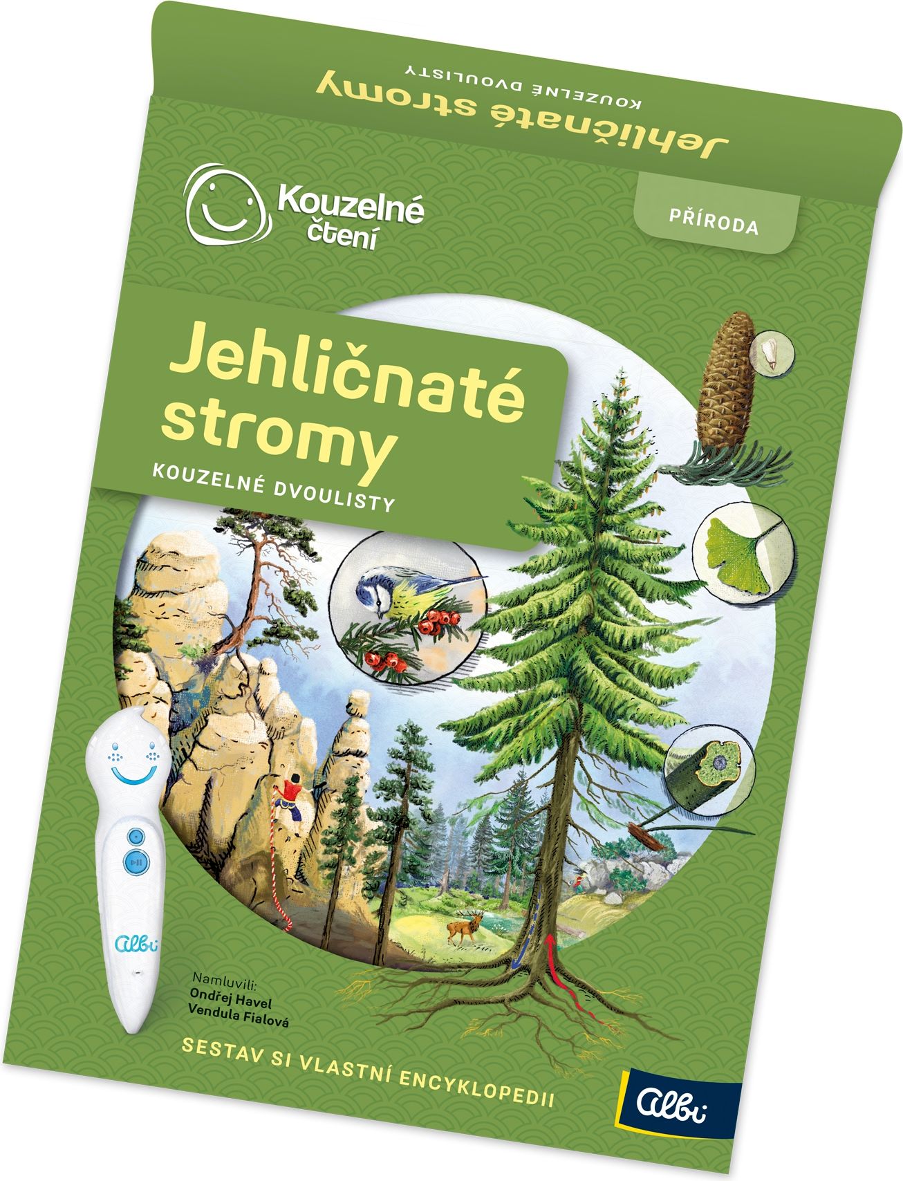 LOLA BABY ALBI KČ Dvoulist Jehličnaté stromy - obrázek 2