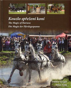 Kouzlo spřežení koní - Dalibor Gregor, Milan Vítek - obrázek 1